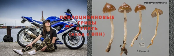 мяу мяу мука Алексин