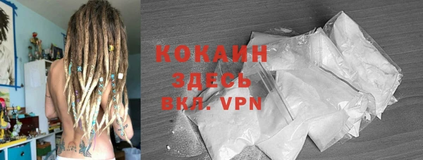 прущий лед Алзамай