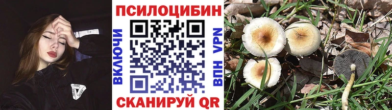 Галлюциногенные грибы мицелий  цена   Новороссийск 